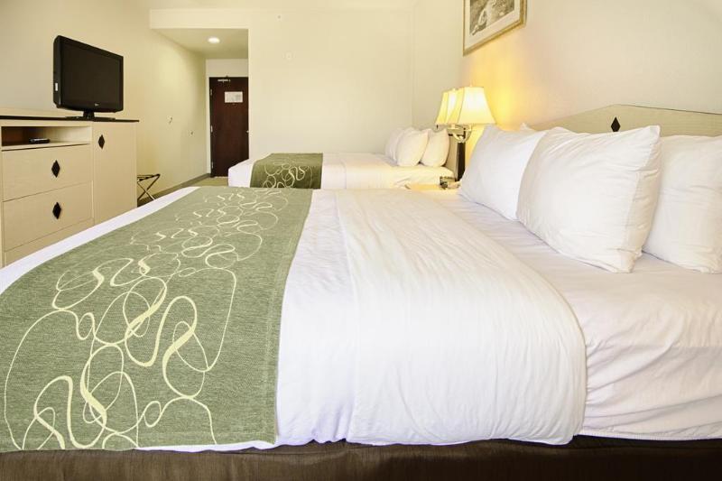 Comfort Inn & Suites Airport Convention Center Reno Buitenkant foto